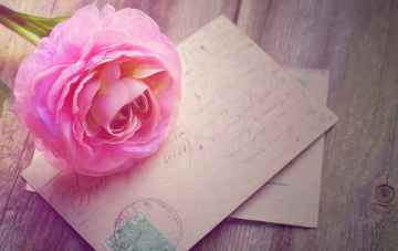 What To Write In A Wedding Card: 100+ Message Ideas