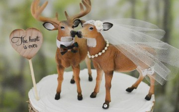 10 Unique Wedding Cake Toppers