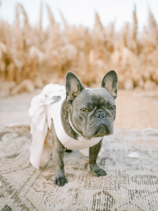 Boho Wedding With Pampas Grass – Netta Benshabu Wedding Dress – Michelle Flores Photography 44